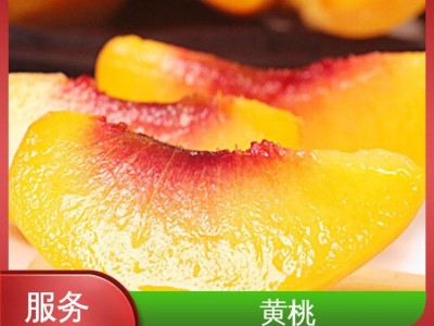口感好汁水多 果园现摘现发 水果批发 黄桃