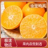 应季水果 皮薄易剥无籽 自有种植基地 果冻橙