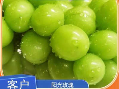 新鲜水果 阳光玫瑰 整箱包邮