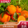 果形圆润皮薄 爱媛果冻橙 果园产地直发 应季水果