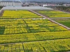 8.3亿元中央财政农业生产防灾救灾资金下达