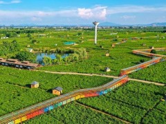 农业农村部：加强养殖水产品质量安全监管