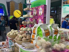 2024第十七届中国吉林现代农业机械装备展览会