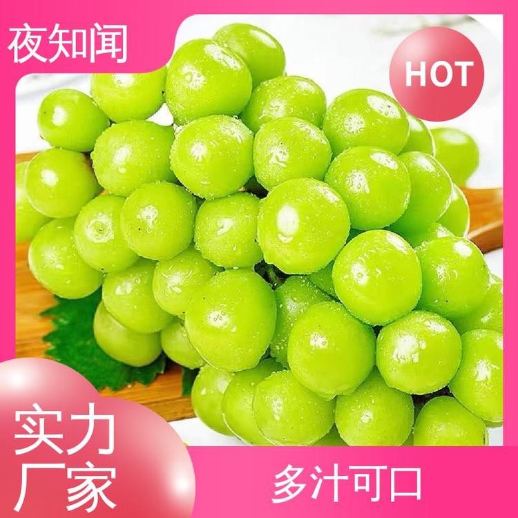 甜度高 阳光玫瑰葡萄 风味浓郁 鲜食品质极优