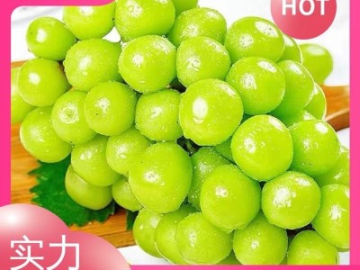 甜度高 阳光玫瑰葡萄 风味浓郁 鲜食品质极优