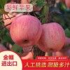 红富士苹果批发 口感甜脆多汁 代理出口 代购代销 冷库储存